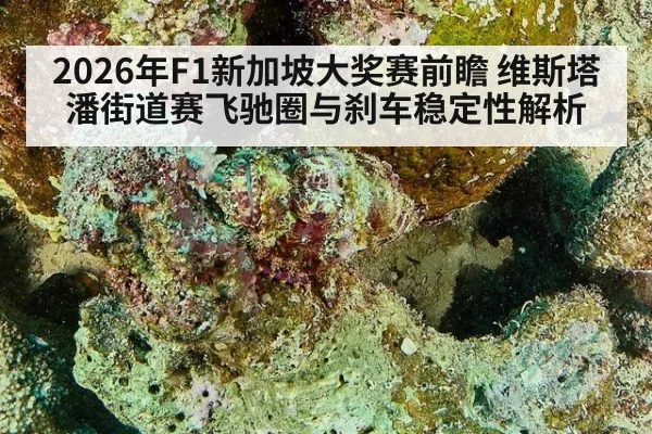 2026年F1新加坡大奖赛前瞻 维斯塔潘街道赛飞驰圈与刹车稳定性解析